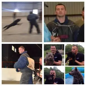 Protection Dog Training in Northern Virginia