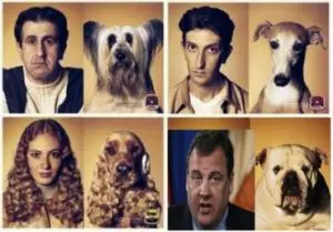 Northern Virginia Dog Behavior