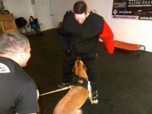 Personal Protection Dog Training in Northern Virginia