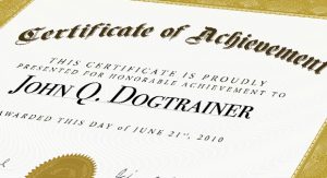 Certified Dog Trainer in Northern Virginia