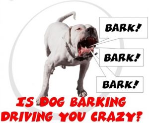 Dog bark in crate hot sale