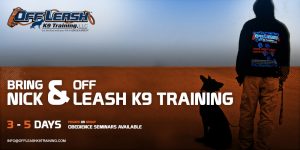 Dog Training Seminars