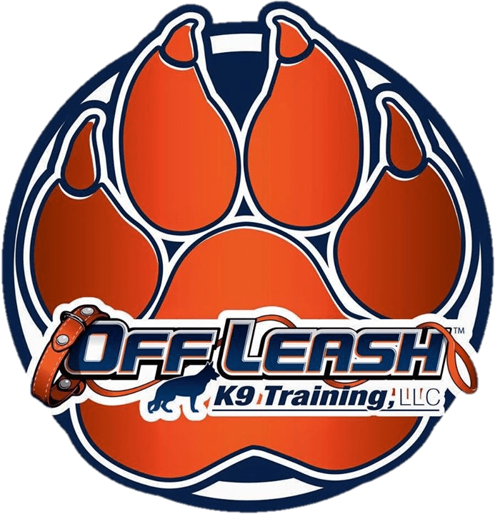olk9 off leash training