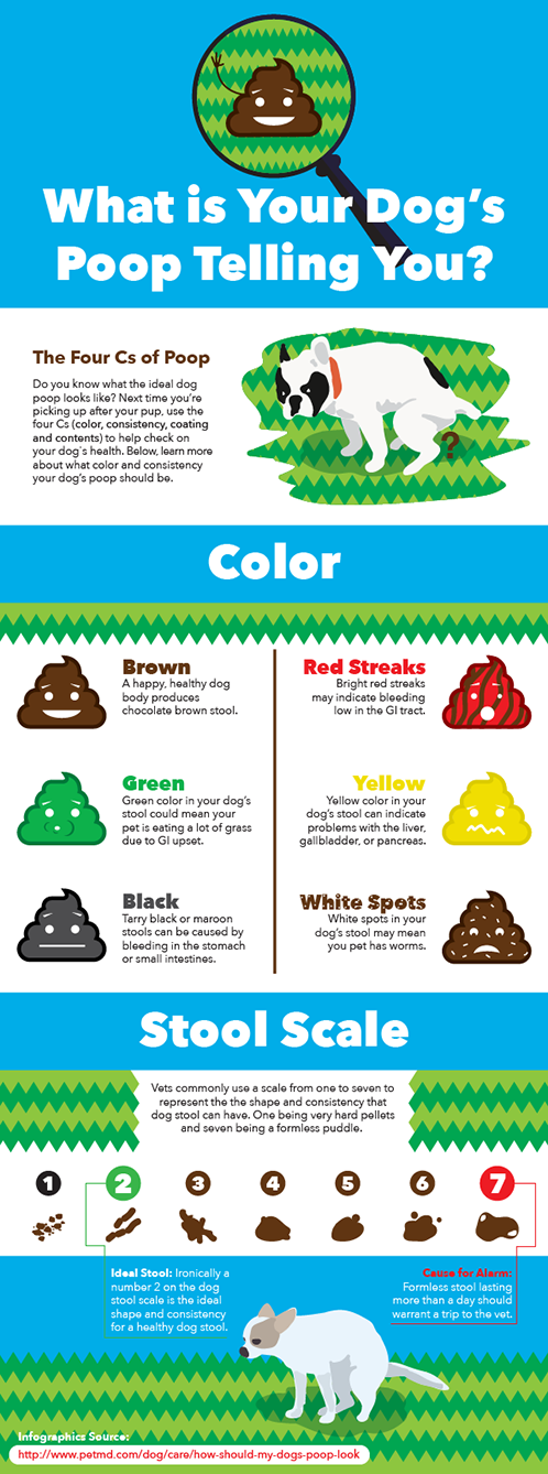 Natural Remedies For Dog Diarrhea Off Leash K9 Training Natural Dog Remedies Off Leash K9 Training LLC