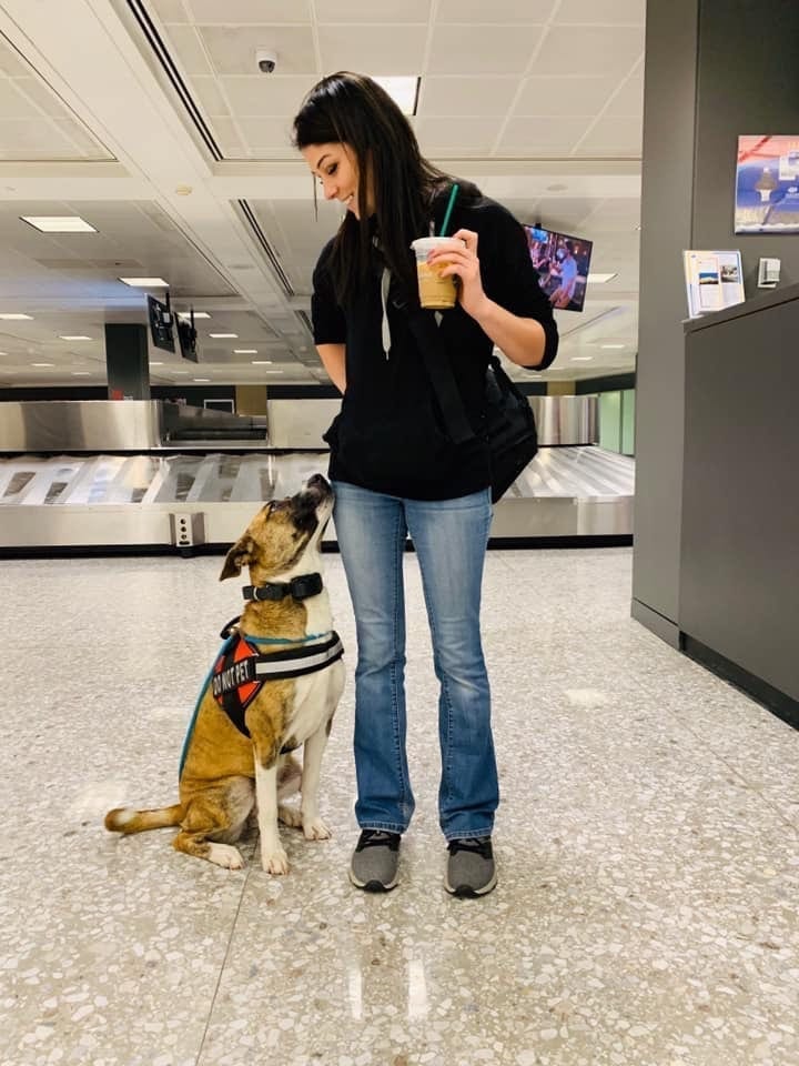 Off Leash Dog Training dog trainer walking through airport with her off-leash dog.