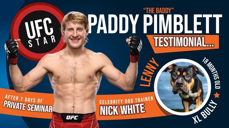 celebrity dog training video from Nick White and Paddy Pimblett
