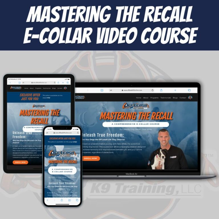 Off leash k9 training e collar deals