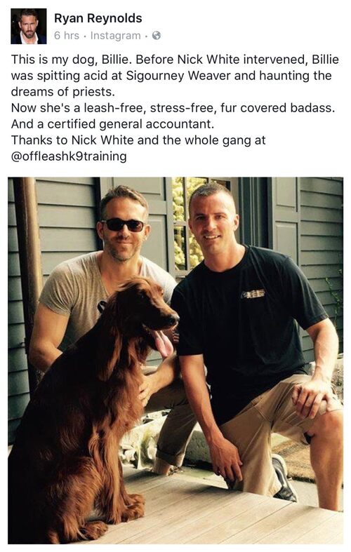 Ryan Reynolds got to learn about off leash k9 training firsthand with nick white