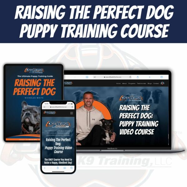 Raising the Perfect Dog: Puppy Training Video Course