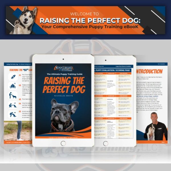 Raising the Perfect Dog (eBook)