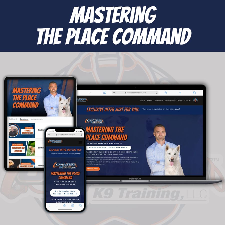 Off leash k9 training prices sales