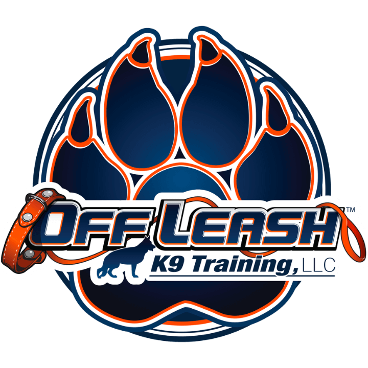 Off the leash dog training near me online
