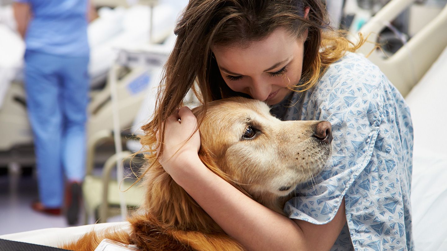 Unveiling the Fascinating World of Dogs Incredible Senses