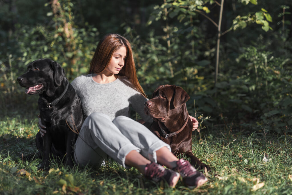 View of Summer Safety: How To Protect Your Dog During Outdoor Adventures | Off ...