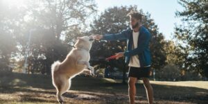 Dog Training Sessions Per Day