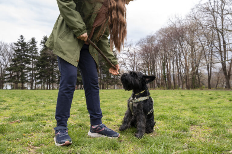 Silent commands for dogs