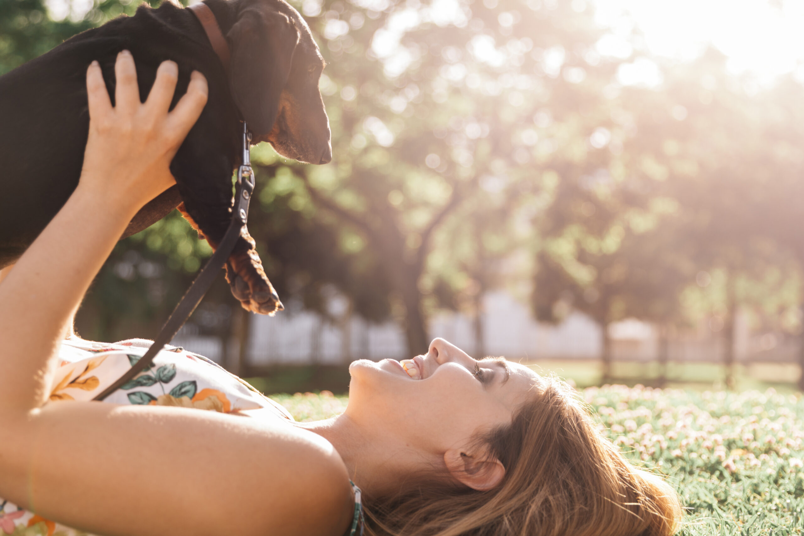Keep Your Pup Active