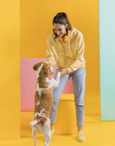 Silent commands for dogs
