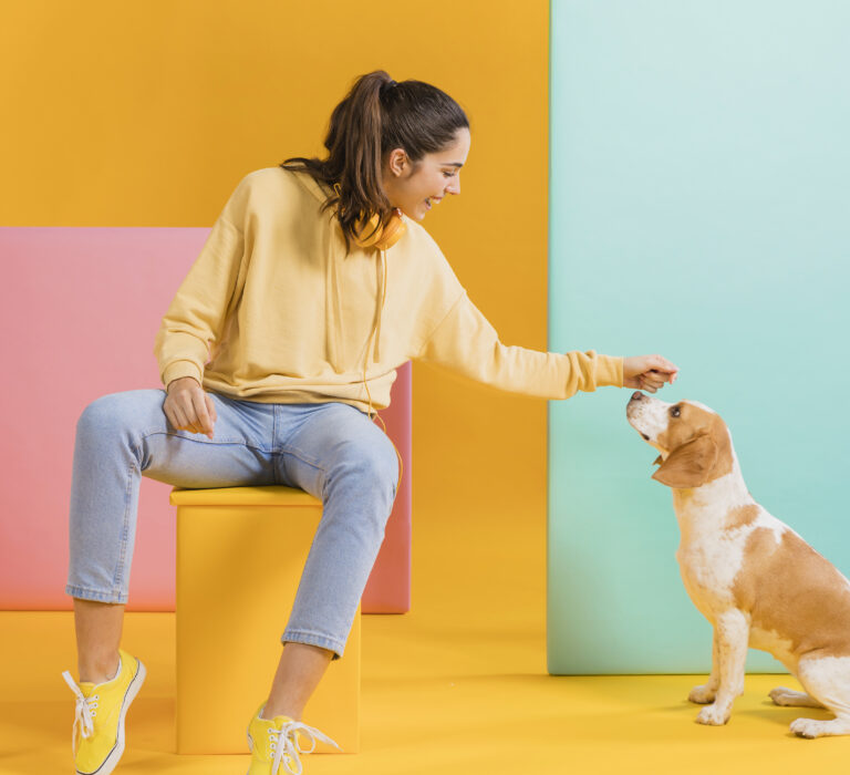 How To Manage Dog Aggression With Training And Behavior Modification