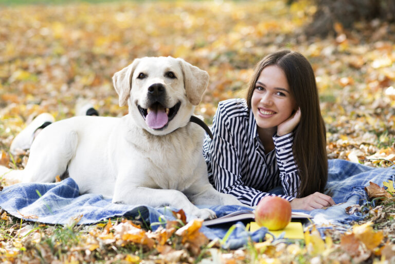 Spring dog training tips