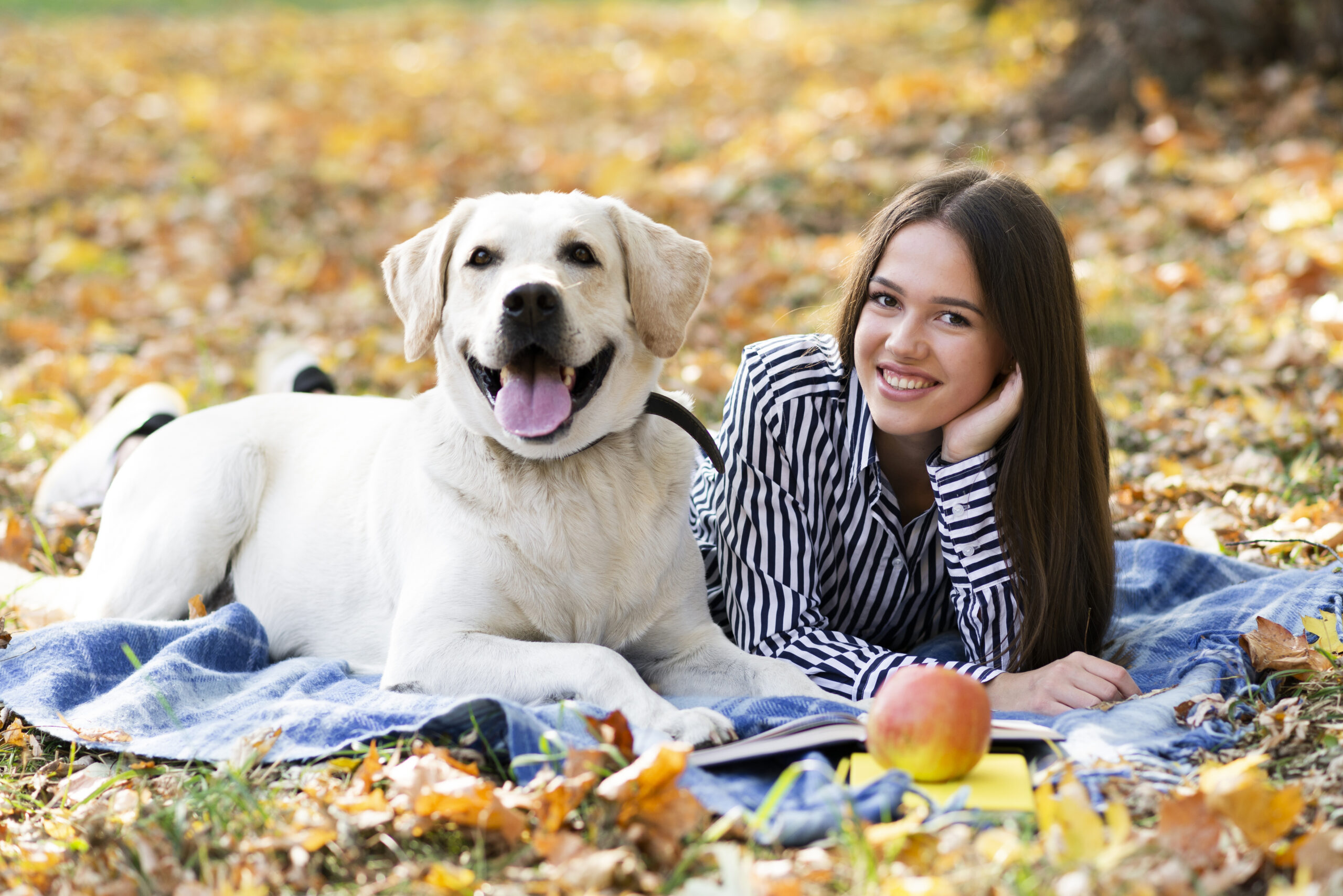 Spring dog training tips