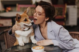 Positive Interruptions in Dog Training