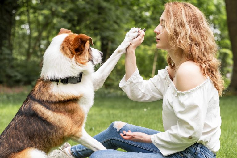 Positive Interruptions in Dog Training