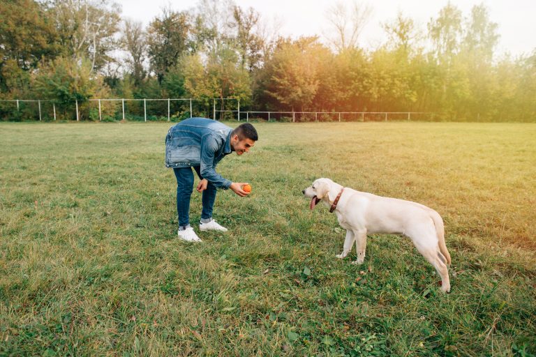 The Psychology Behind Positive Reinforcement: Why It Works