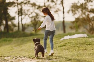 Puppy Training Goals by Week