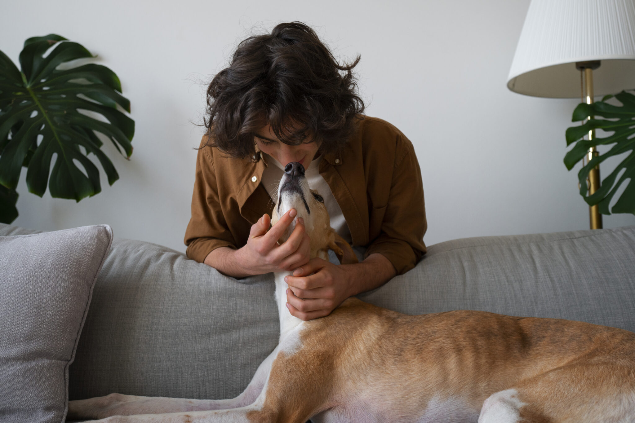 Photo inspiration: Gallery Detail: Can Dogs Get Depressed Dog Depression Signs You Shouldn T