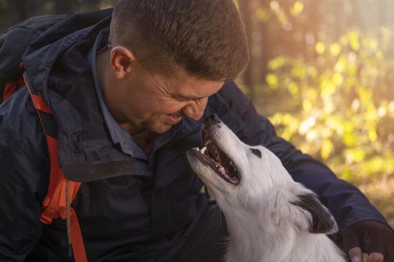 Dog Obedience