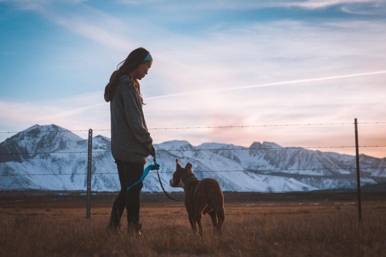 How To Build A Reliable Off-Leash Dog Without Rushing