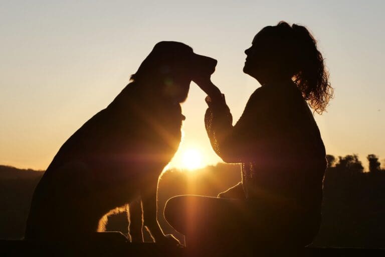 Dogs